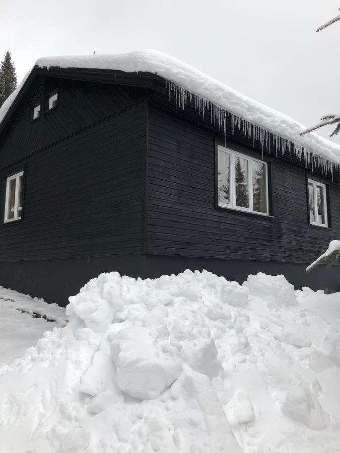 Nordik 1496 Apartman Vysoké Tatry Kültér fotó